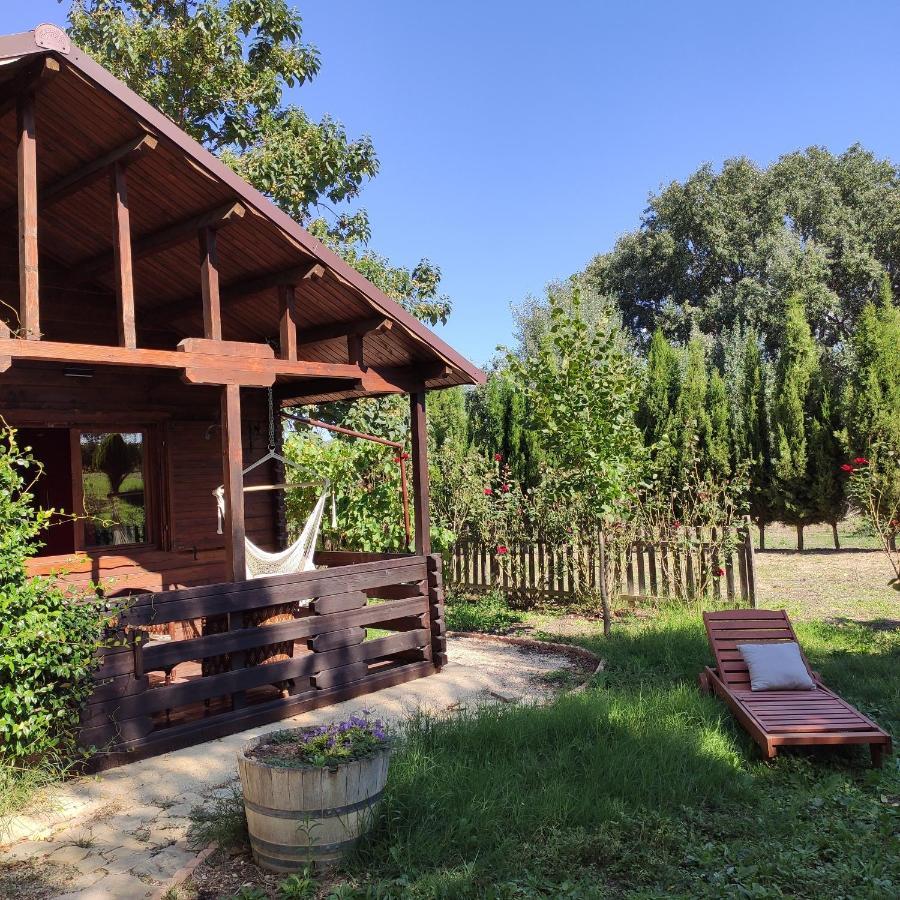 Pago De Tharsys Guest House Requena Exterior photo