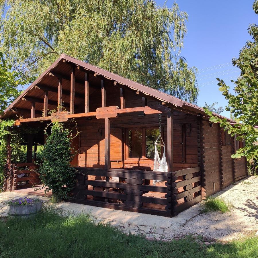 Pago De Tharsys Guest House Requena Exterior photo
